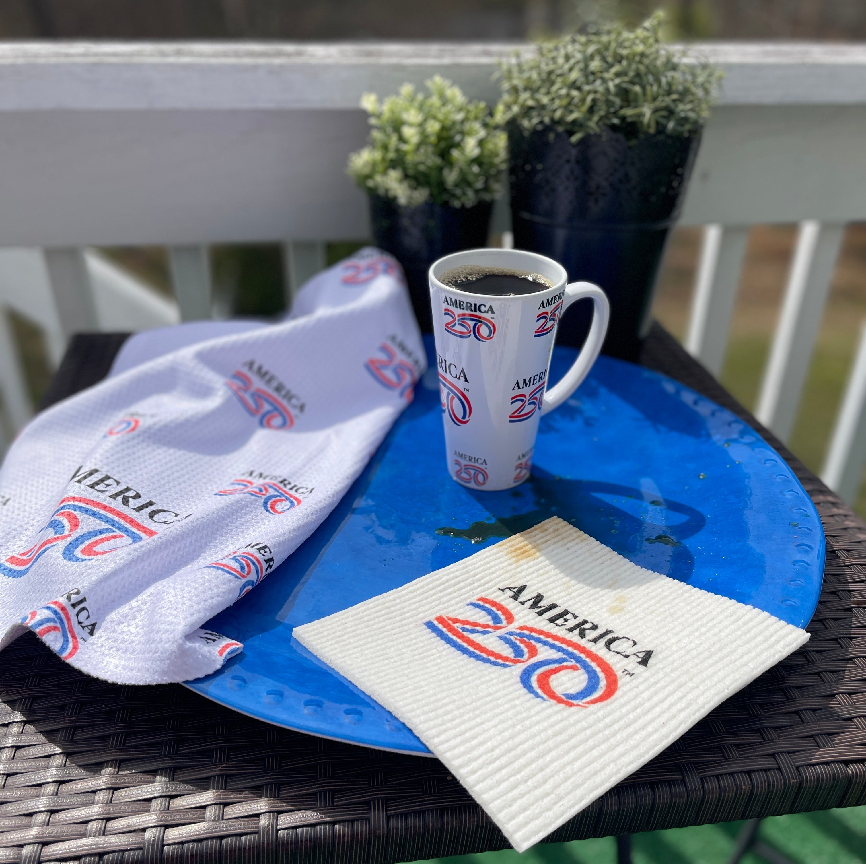 A250 Primary Logo Swedish Dishcloth