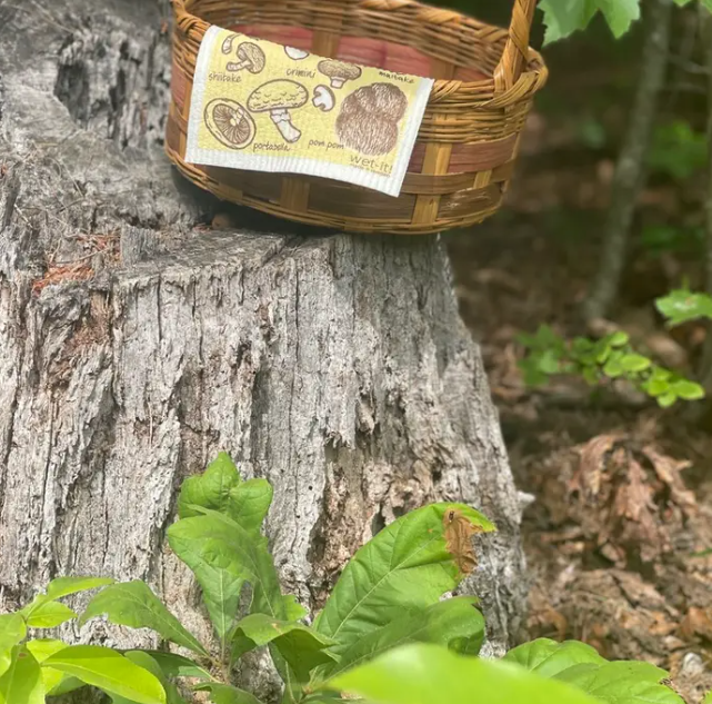 Swedish Cloth with mushroom medley design