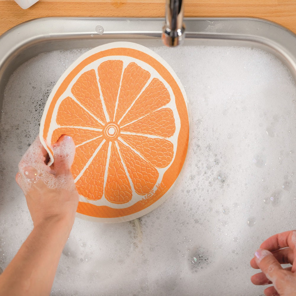 all things citrus