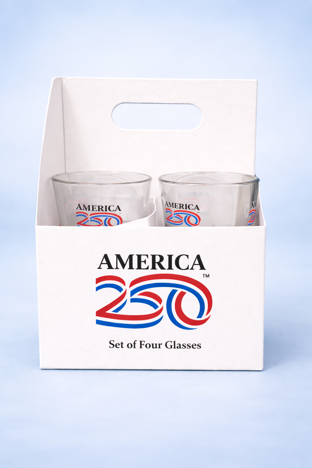 A250 Primary Logo Glass