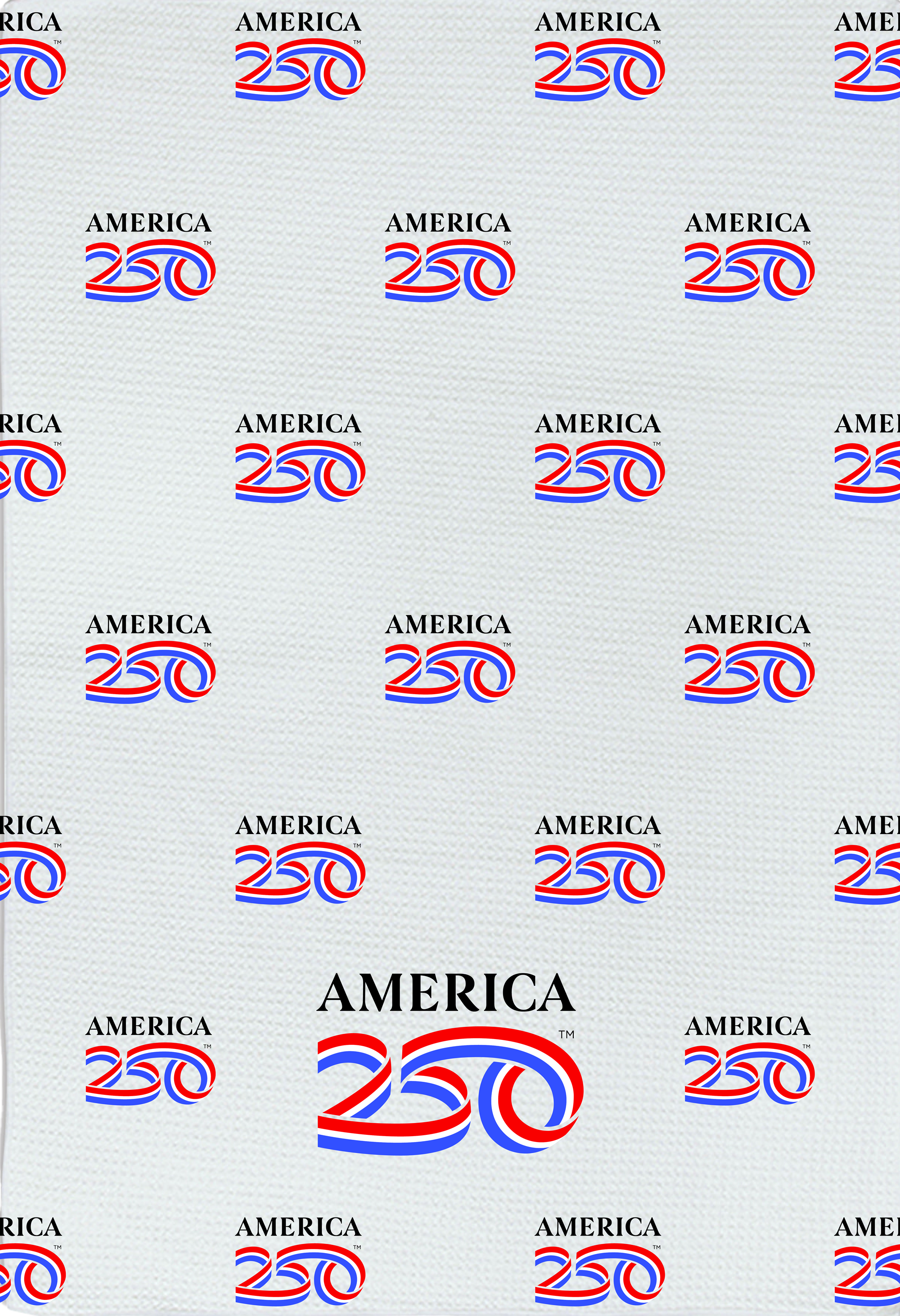 A250 Primary Logo towel