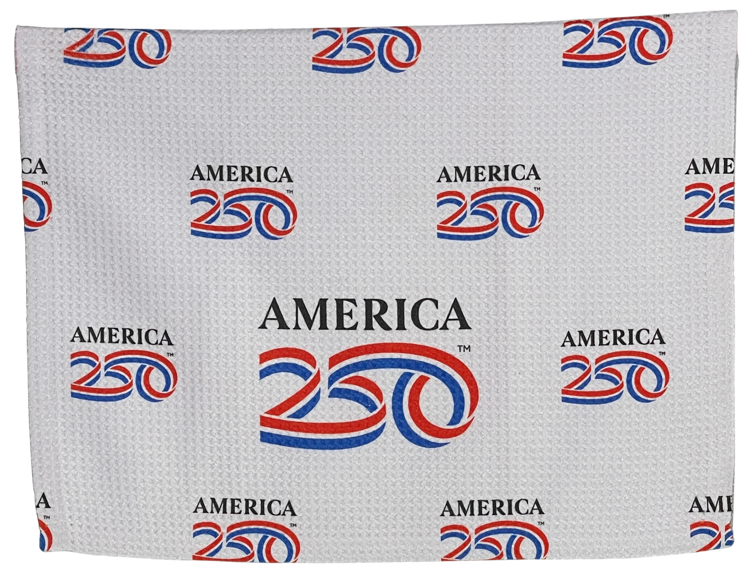 A250 Primary Logo towel