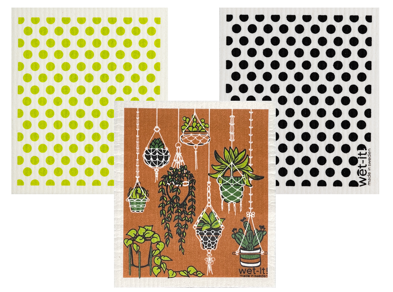 terracotta houseplants set