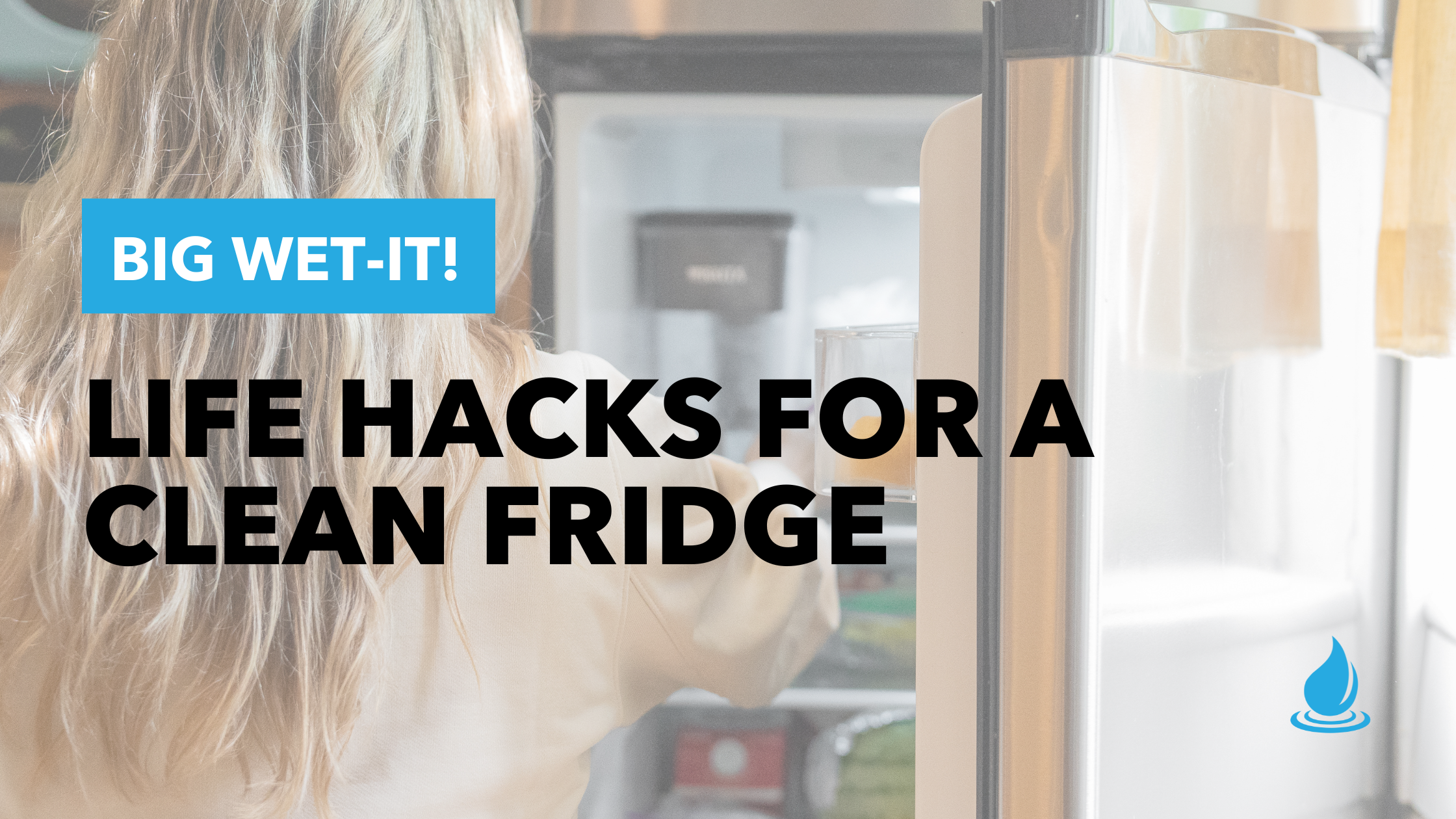 Blog Big Wet-it! Life Hacks for Clean Fridge Banner, Woman Looking into a Fridge