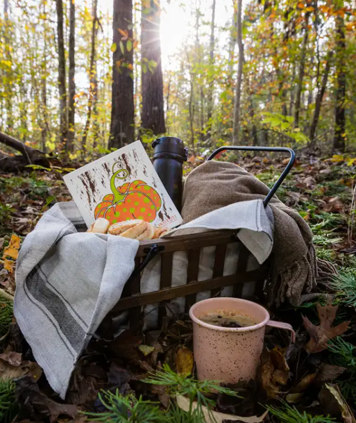 pumpkin harvest swedish sponge cloth