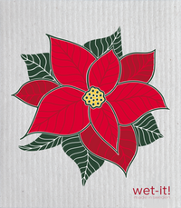 blooming-poinsettia
