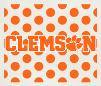 clemson-university-3