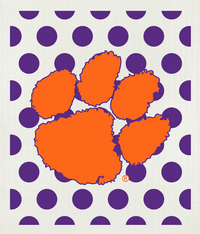 clemson-university-2