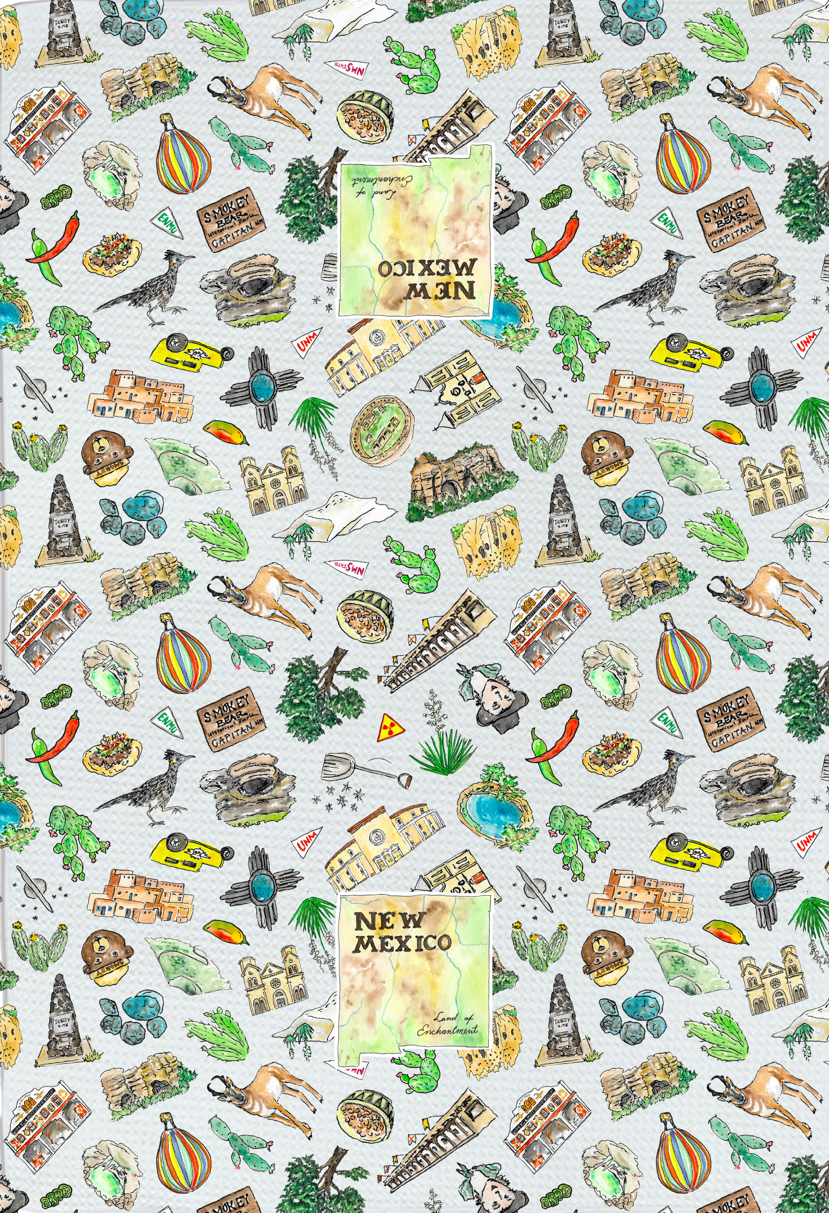 Pippa New Mexico tea towel