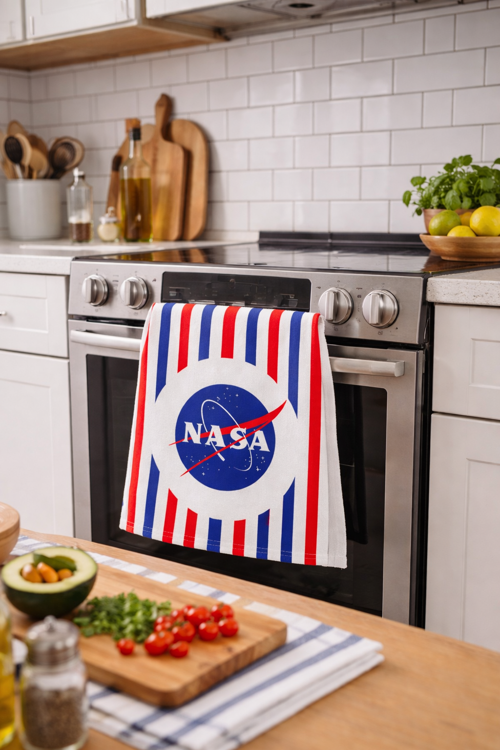 NASA Logo Striped Towel