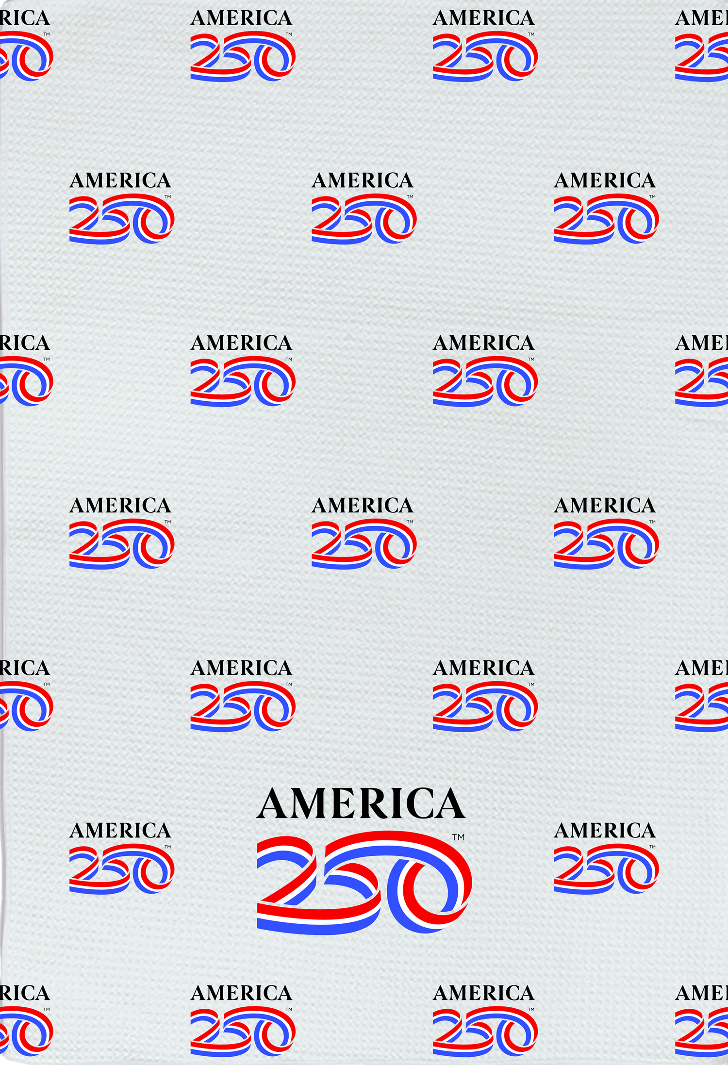 A250 Primary Logo towel