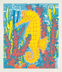 salty-seahorse