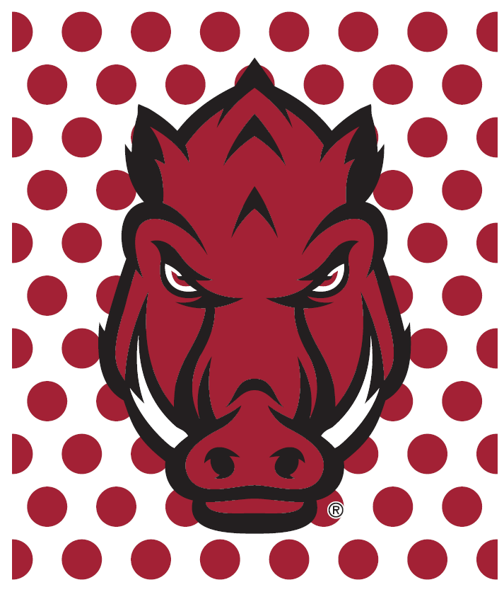 Swedish Cloth with University of Arkansas design #2