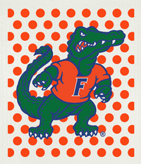 university-of-florida-albert