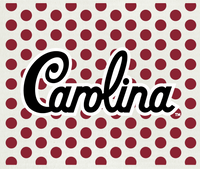 university-of-south-carolina-2