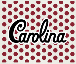 Swedish Cloth with University of South Carolina design #2