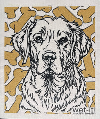 labrador