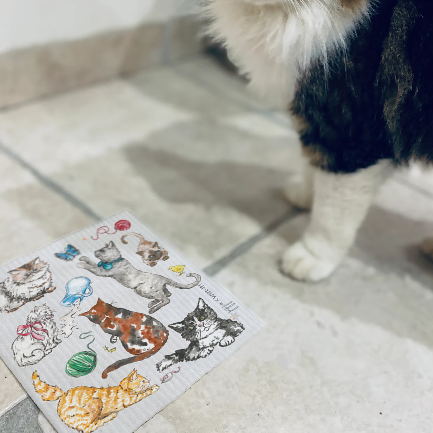 fine feline