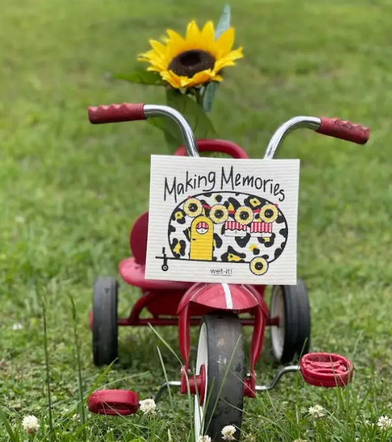 Swedish Cloth with making memories design