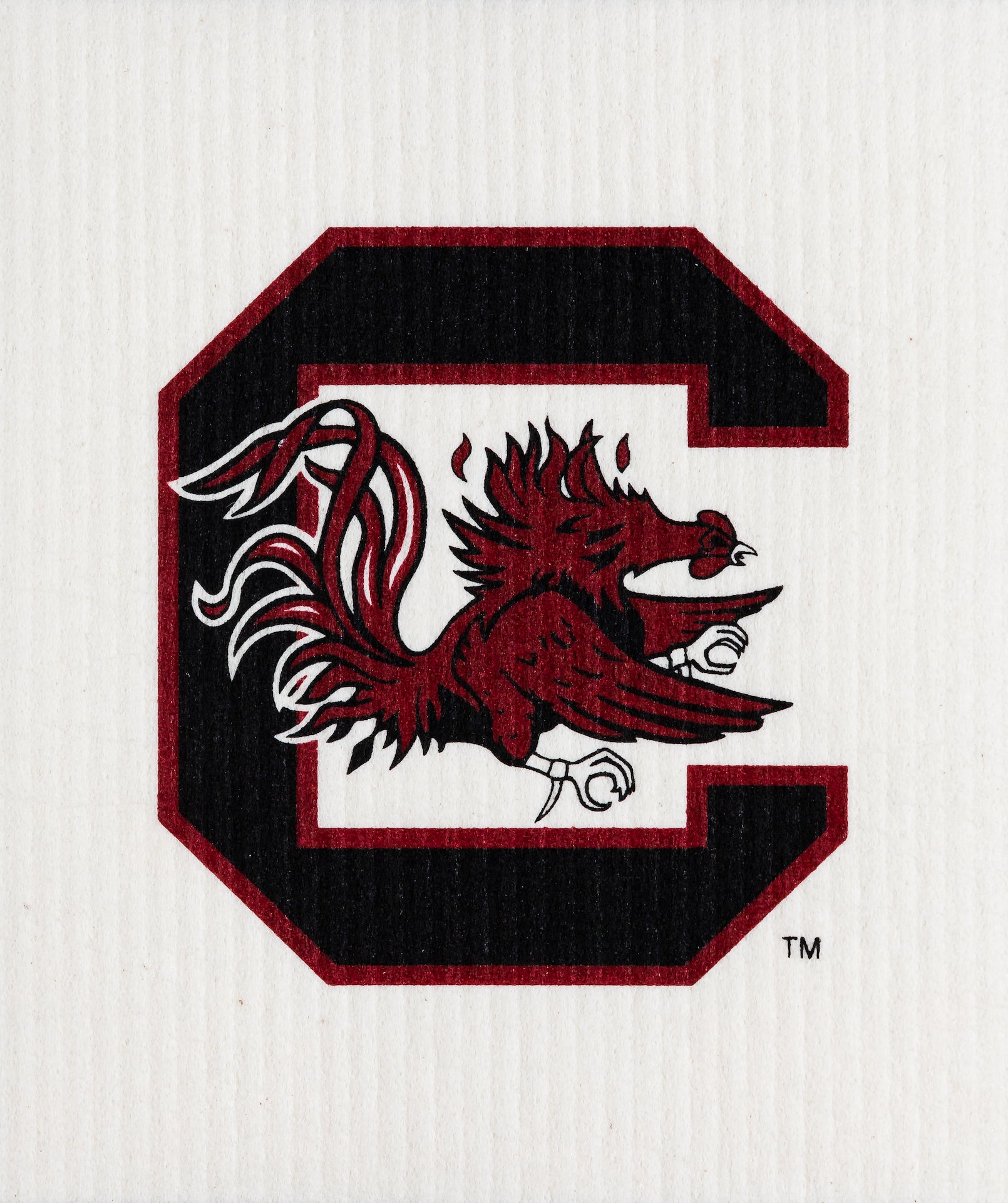 University of South Carolina
