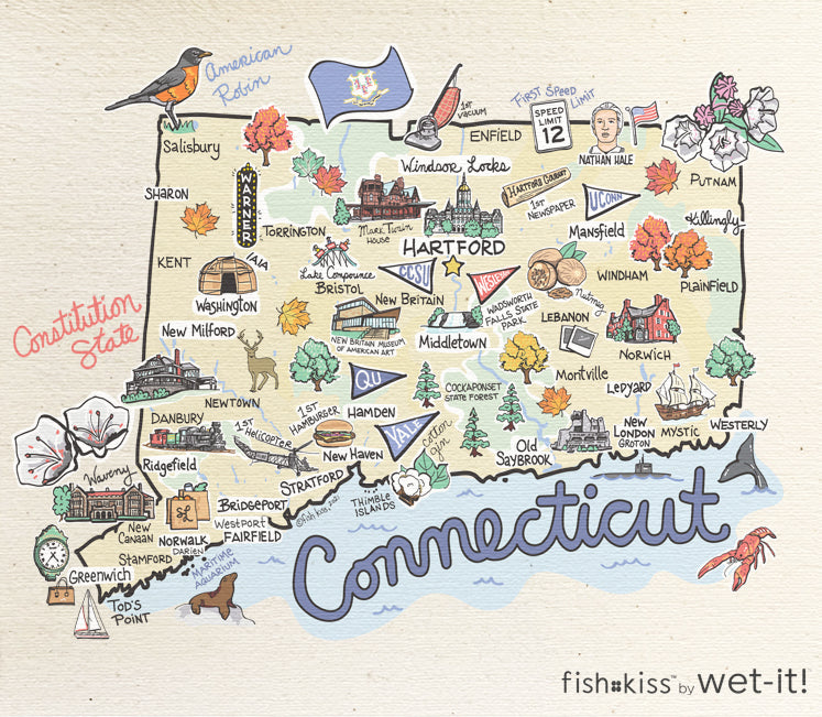 Fish kiss sponge cloth with Connecticut map