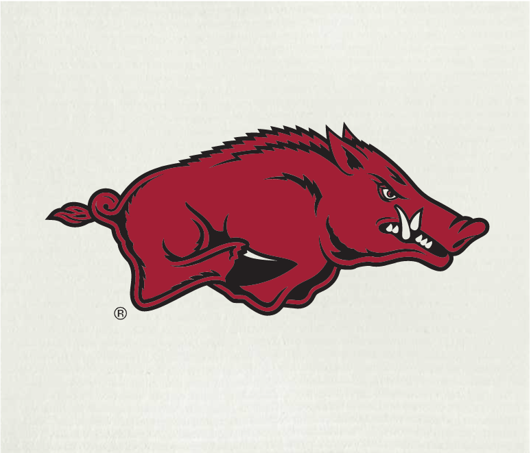 Arkansas razorback ponge cloth