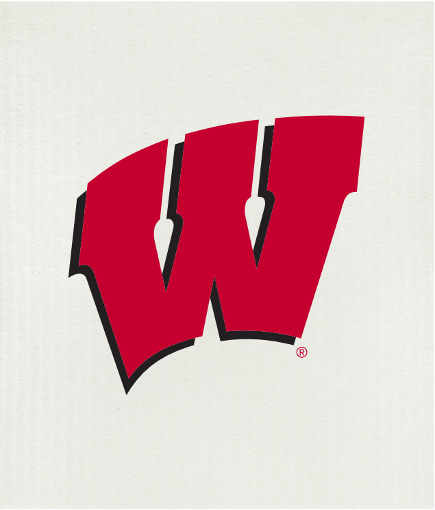 University of Wisconsin